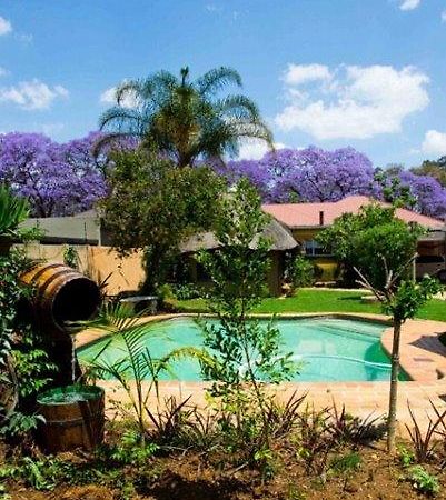 Albergue 1322 Backpackers International Pretoria-Noord Exterior foto