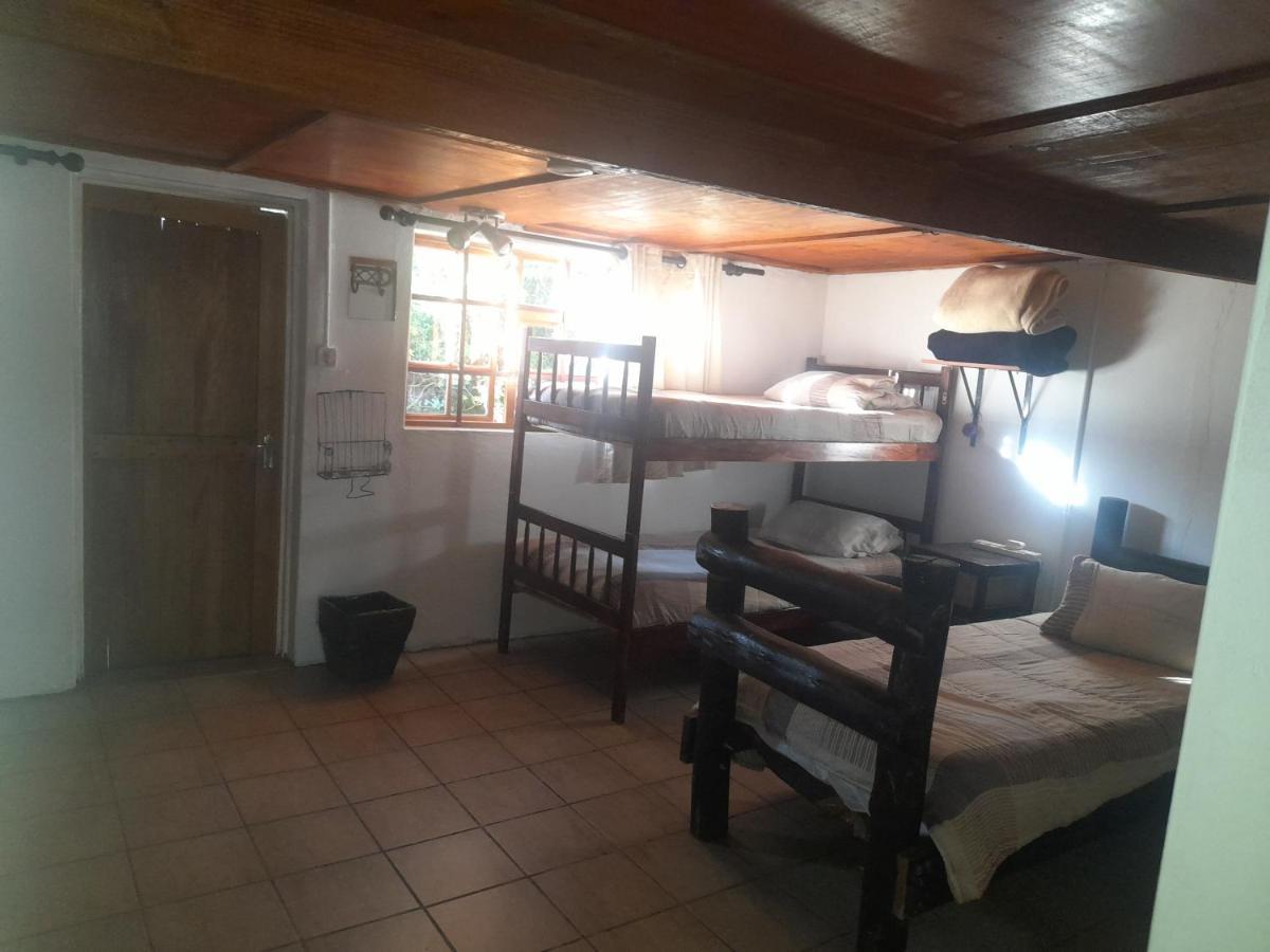 Albergue 1322 Backpackers International Pretoria-Noord Exterior foto